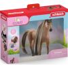 Figurka Schleich Schleich 42621 Piękny Ogier Achal Tekkiner konie koń PIĘKNE WŁOSY Sofia's Beauties Фигурки и герои