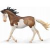 Figurka Collecta COLLECTA KLACZ MUSTANG MAŚCI BAY SPLASH OVERO Фигурки и герои