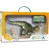 Figurka Collecta COLLECTA DINOZAUR TYRANOZAUR W OPAKOWANIU (DELUXE) Фигурки и герои