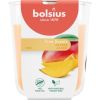 Bolsius Svece arom. stikla gl. True Scents Ø80x73mm mango Sveces un svečturi