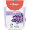 Bolsius Svece arom. stikla gl. True Scents Ø80x73mm lavender Sveces un svečturi