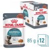 ROYAL CANIN FCN Hairball Care chunks in gravy - wet cat food - 12x85 g Kaķu konservi