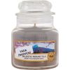Yankee Candle Majestic Mount Fuji 104g Telpu aromāti