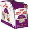Karma Royal Canin Sensory Taste gravy 12x85g Kaķu konservi
