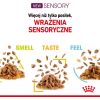 Karma Royal Canin Sensory Feel gravy 12x85g Kaķu konservi