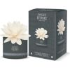 Sweet Home Collection Birch Bark & White Amber Diffuser - Aroma difuzér 200ml Dāvanu komplekti