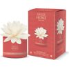 Sweet Home Collection Sandalwood & Soft Incense Diffuser - Aroma difuzér 200ml Dāvanu komplekti