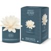 Sweet Home Collection Bergamot & Winter Flower Diffuser - Aroma difuzér 200ml Dāvanu komplekti