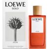 Loewe Solo Atlas EDP 100ml Vīriešu Smaržas