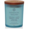 Chesapeake Bay Reflection & Clatiry Candle (tumbler small) 96.0g Smaržas - NESAKĀRTOTS