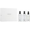 Set Balmain: Volume, Hair Shampoo, Hydrating, 300 ml + Volume, Hair Conditioner, Moisturizing, 300 ml + Volume, Hair Spray Treatment, Conditioning, 200 ml + Balmain, Scalp Brush Matu kopšana