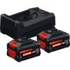 Bosch Powertools EXPERT starter set 2x EXBA 18V-55 + dual-voltage charger GAL 12V/18V-80 (black, 2x Li-ion battery 5.5Ah, AMPShare Alliance) Новинки Для дома и сада 