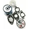 Carburetor repair kit, Ariens Company Rezerves daļas