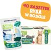 ANIMAL ISLAND biała ryba w rosole karma dla kota monopak 40x85g Консервы кошек