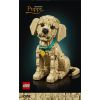 LEGO Icons Szczeniak golden retriever (11384) Jaunumi, Bērnu preces