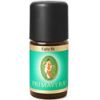 Primavera Essential Oily Essential Oils Make 5 ml cool 5ml Smaržas - NESAKĀRTOTS