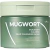 Isntree Mugwort Calming Deep Cleansing Balm - Čisticí balzám 100ml Ķermeņa kosmētika