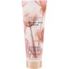 Victorias Secret Coconut Milk & Rose Calm Body Lotion 236ml Ķermeņa kosmētika