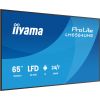 Iiyama ProLite LH6564UHS-B1AG, public display (black (matt), UltraHD/4K, VA, WiFi, remote control) Новинки Компьютерная техника