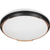 Activejet LED ceiling light AJE-PETRUS 24W Griestu lampas - šķīvji