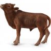 Figurka Collecta Collecta Krowa Ankole-Watusi Calf Rozmiar S Figūriņas un varoņi