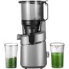 AMZCHEF SJ-036-GA slow-running juicer (gray) Citi virtuves piederumi