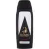 Scorpio Collection / Sport 250ml Dušas želejas ķermenim