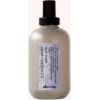Davines More Inside Blow Dry Primer - Termoochranný sprej pro objem a tvar 100ml Matu kopšana