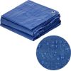 Brezents Springos GA2117 4x6 m 60g/m2 Nojumes un aksesuāri
