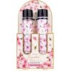 Accentra Cherry Blossom Essential Botanicals Body Care Set - Dárková sada ve zkumavkách Ķermeņa kosmētika