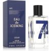 Iceberg Iceberg, Eau De Iceberg Cedar, Eau De Toilette, For Men, 100 ml For Men Мужская парфюмерия