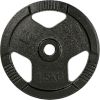 Čuguna svaru disks inSPORTline Hamerton, melns, 1,25 kg, 30 mm Svaru ripas un stieņi