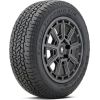 BF Goodrich Trail-Terrain T/A+ 245/60R18 105H Vissezonas riepas