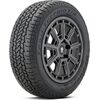 BF Goodrich Trail-Terrain T/A+ 255/55R19 111H Всесезонные покрышки