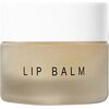 Barbara Sturm Lip Balm - Hydratační balzám na rty 12ml Косметика для тела