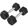 Tunturi Platinum Hex Rubber Dumbbell, 4kg, Pair Svaru ripas un stieņi