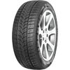 Minerva Frostrack UHP 245/35R20 95V Зимние покрышки