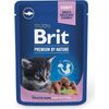 BRIT Premium by Nature Kitten White fish - wet cat food - 100 g Barība