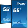 Monitors iiyama ProLite LH5560UHS-B2AG Monitori