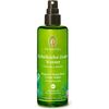 Primavera Borovice-cedr Bio - Květová voda 100ml Духи и косметика