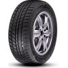 RoadX RX Frost WH01 195/65R15 91H Ziemas riepas