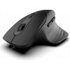Datorpele INCA Maus IWM-553S Ergo, wireless, BT1 5.0+BT2 5.0 Новинки Компьютерная техника