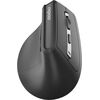 Datorpele Rapoo EV310M Wireless Ergonomic Mouse Jaunumi - Datori