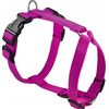 Chaba CH SZELKI GUARD L (P)35-60 (T)50-75X2,5CM FUKSJA 5077 Citas preces