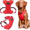 Chaba CHABA SZELKI GUARD COMFORT XS             1,6cm/32-37cm CZERWONE Citas preces