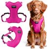 Chaba CHABA SZELKI GUARD COMFORT M              2,0cm/43-52cm FUKSJA Citas preces