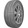 Double Star DoubleStar DW02 245/45R17 99T Ziemas riepas