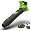 Akumulatora lapu pūtējs Greenworks BL24515A2; 24 V; 1x4,0 Ah akum. Lapu pūtēji 