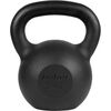 Čuguna  svaru bumba 30kg, REBEL ACTIVE Весовые мячи