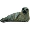 Figurka Collecta Foka młoda pstra (004-88681) Фигурки и герои